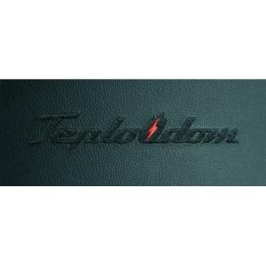 Электрический котел Teplodom i-TRM SILVER StS 12 кВт в Новополоцке