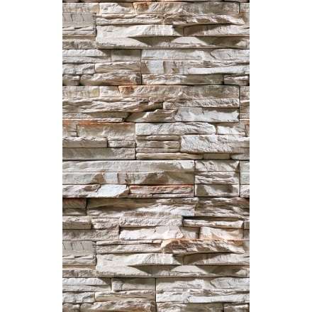 Фиброцементная плита Фаспан Дикий камень №1007 Вертикаль (1200х800х8 мм) купить в Новополоцке