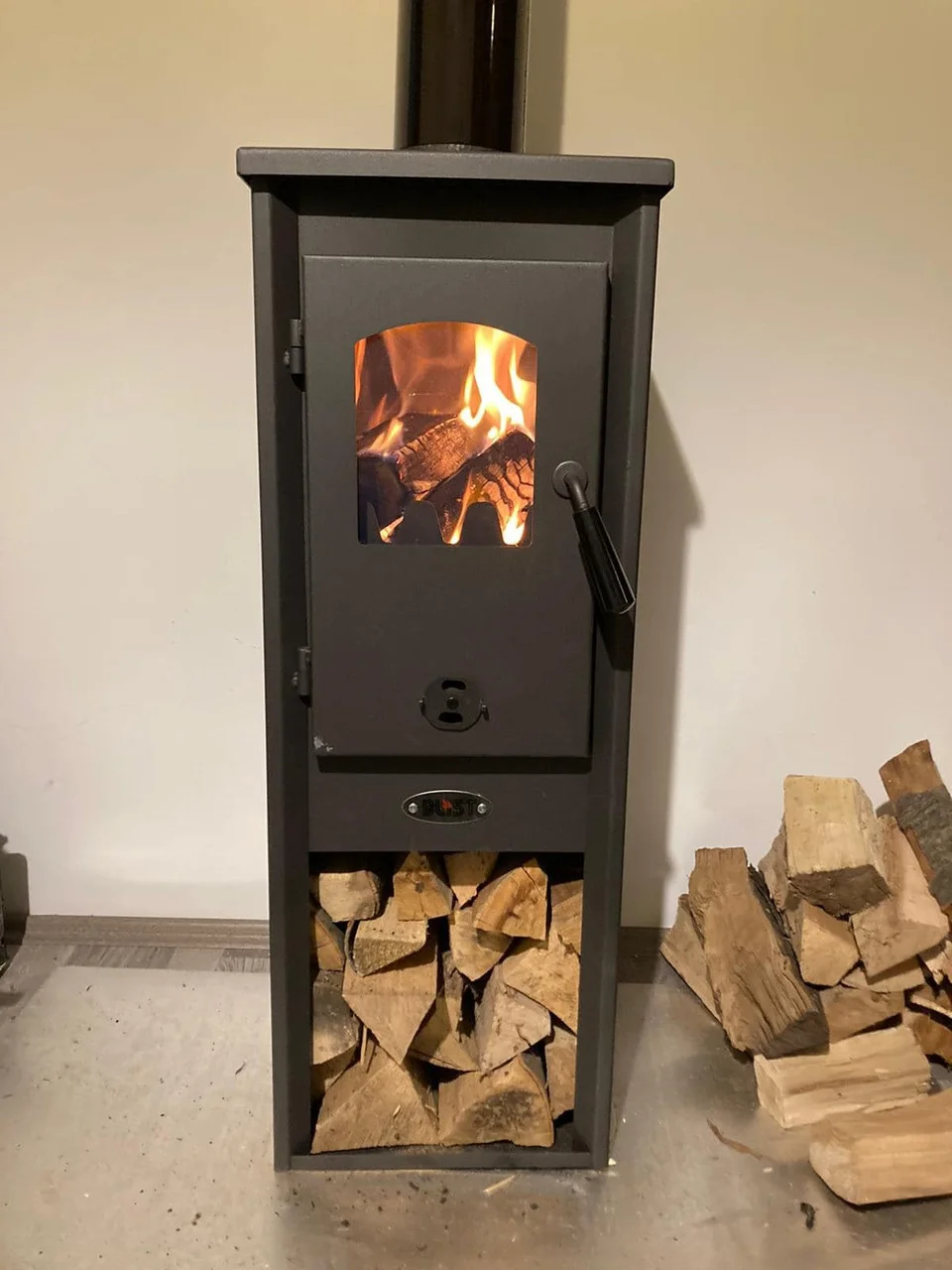 Печь-камин Blist Ekonomik Lux LM N стальная дверца Амазонка бай фото в Новополоцке