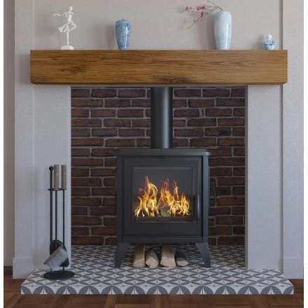 Купить чугунный Печь-камин EVEREST S10 в Новополоцке в Новополоцке