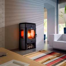 Стальной камин Теплодар Танго фото в Новополоцке