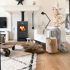 Печь-камин Blist B 2 Амазонка бай фото в Новополоцке