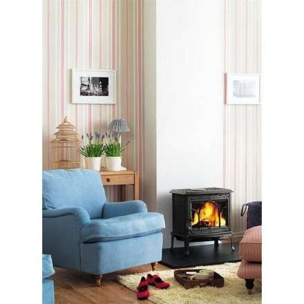 Чугунная печь камин Jotul F100 BP в Новополоцке