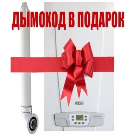 Газовый котел Baxi ECO 4S 1.24F в Новополоцке