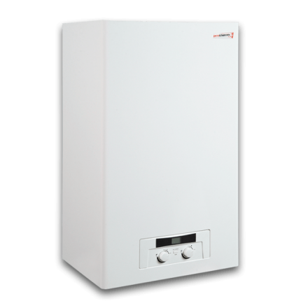 Газовый котел Protherm Пантера 25 KOV (atmo) в Новополоцке