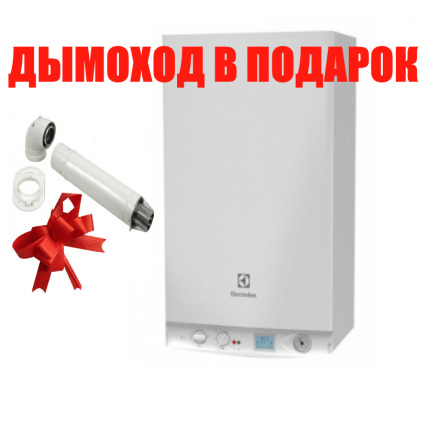 Газовый котел Electrolux GCB 24 Basic Space Duo Fi в Новополоцке
