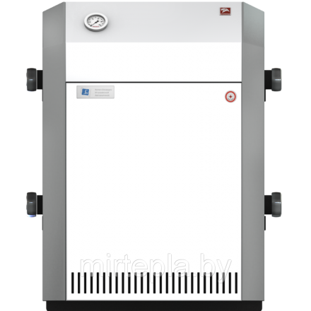 Газовый котел Лемакс Патриот 10 в Новополоцке