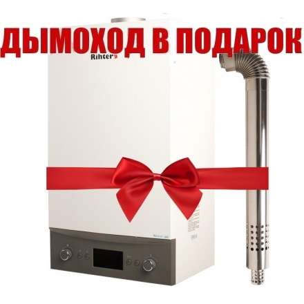 Газовый котел Rihters Econom 26 с дымоходом в Новополоцке