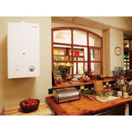 Газовый котел Protherm Тигр 24 KTZ в Новополоцке