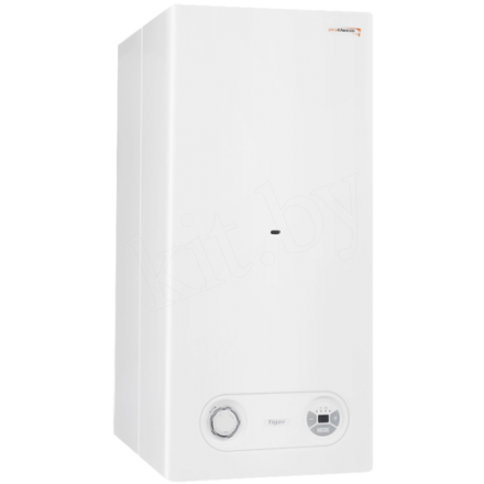 Газовый котел Protherm Тигр 24 KTZ в Новополоцке